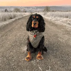 Twój pupil jako superbohater? 