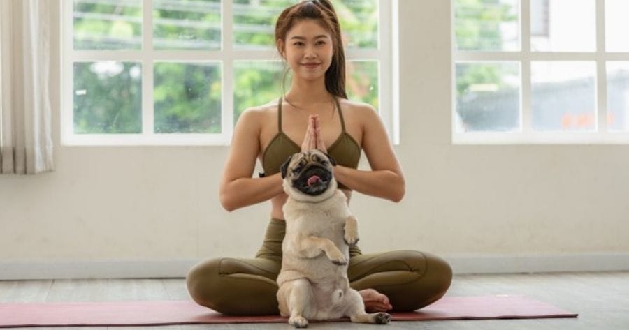 Girl doing lotus position with pug
