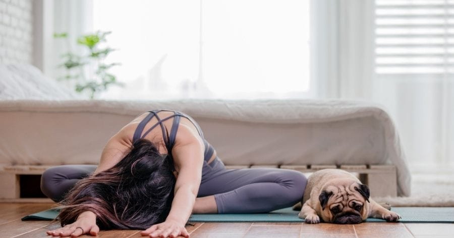 Dog yoga: jak zacząć ćwiczyć jogę z psem?