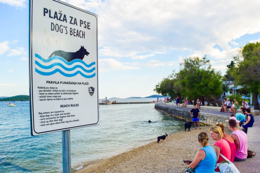 plaża dla psa w Chorwacji
